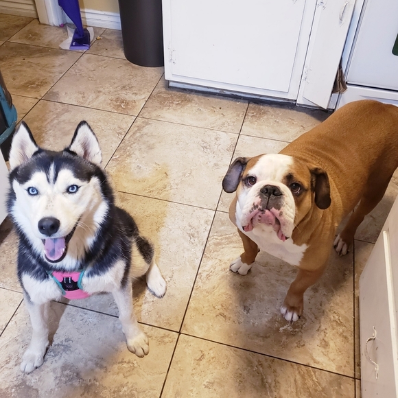 Meet your Posher, Jennifer - Picture 4 of 8